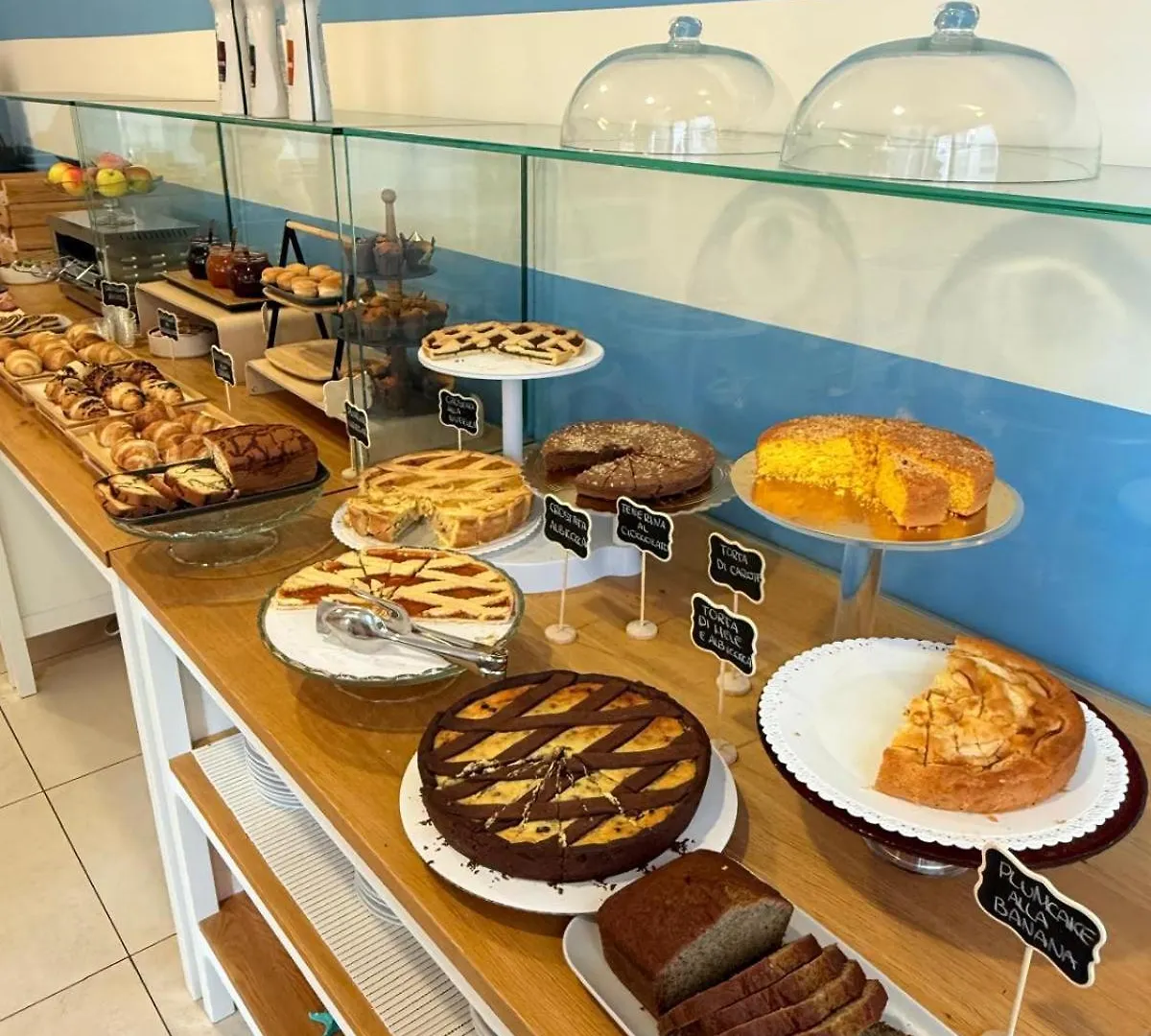 Hotel Berenice Rimini Mare