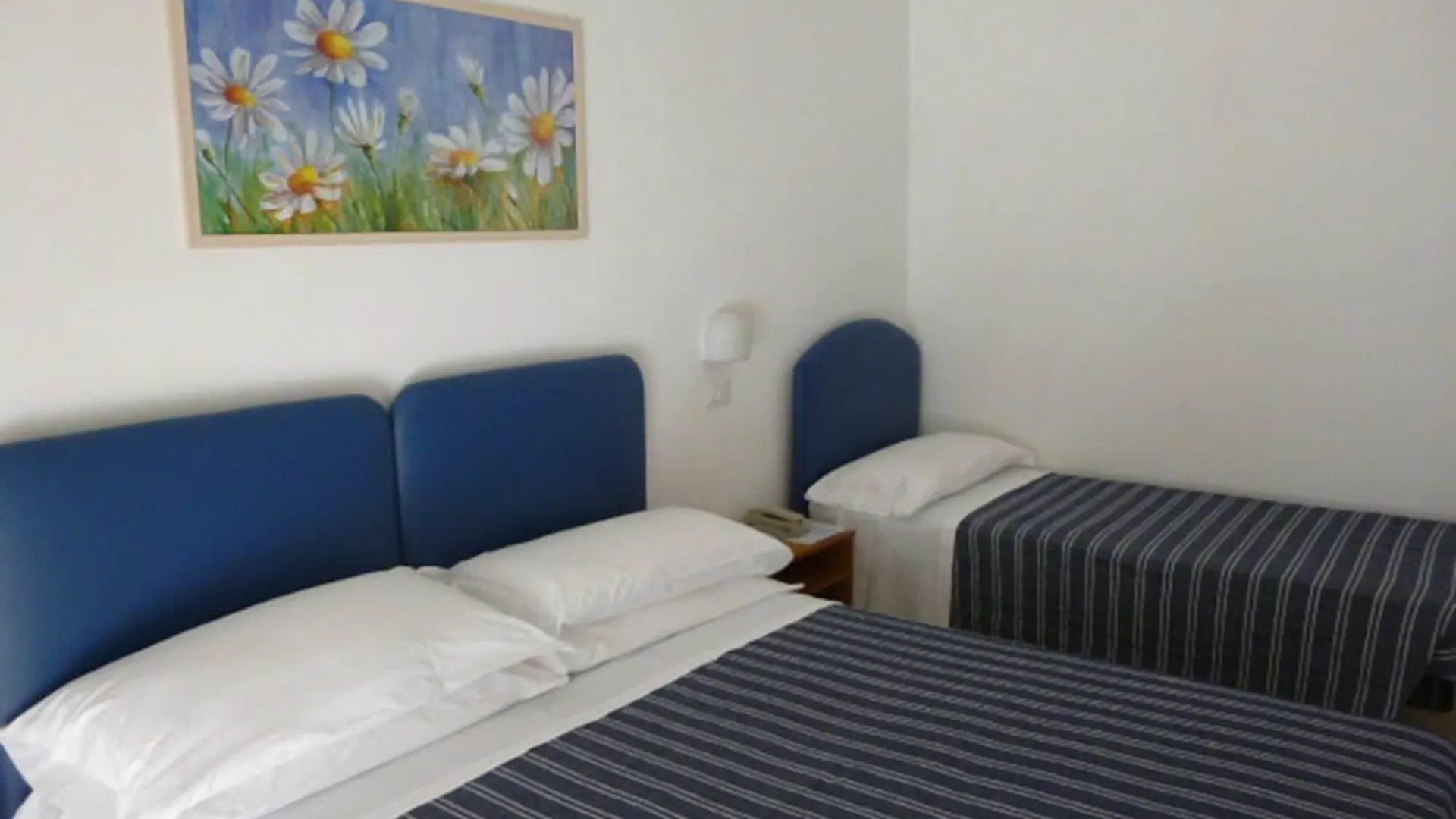Hotel Berenice Rimini